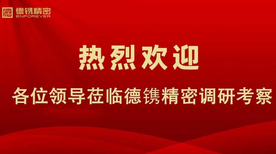 山西省永濟(jì)市市委書(shū)記何偉率隊(duì)到德鐫調(diào)研考察